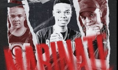 BL Zero, Lebzito & Kamo the Vocalist – Marinate ft. Major League DJz & DJ Karri