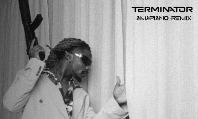 DJ Medna & Asake – Terminator Amapiano Remix