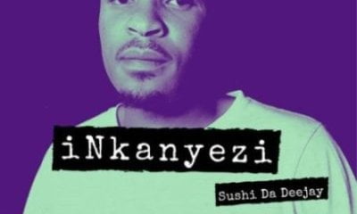 DOWNLOAD Sushi Da Deejay Inkanyezi Album