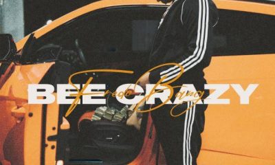 Fredo Bang - Bee Crazy