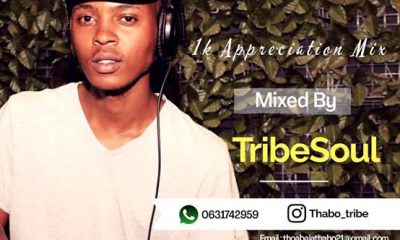 TribeSoul – Amapiano Groove Cartel Amapiano Mix