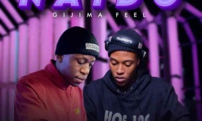 uLazi & Thabza Tee – Naido (Gijima Feel)