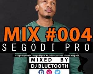 DJ Bluetooth – Segodi Pro Mix #004