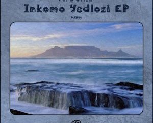 Native P. & Dr Feel – Inkomo Yedlozi (Echo Deep Remix)