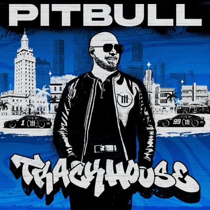 Let’s Take A Shot Pitbull Ft Vikina