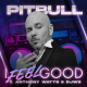 Pitbull Ft Anthony Watts & DJ White Shadow - I Feel Good Lyrics