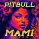 Pitbull Ft Lil Jon - Mami Lyrics