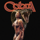 Megan Thee Stallion - Cobra Lyrics