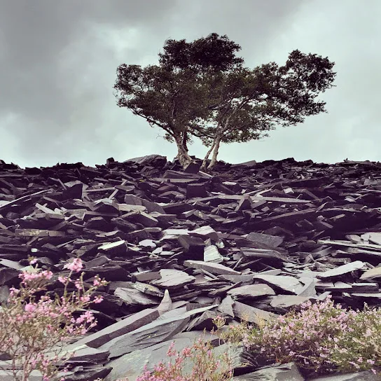 Download Luka High on You EP