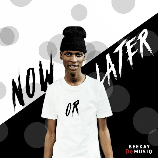 Download Beekayy de MusiQ Now or Later Album