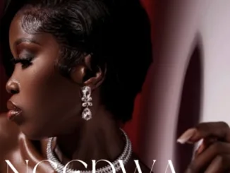 Sam Deep & Thatohatsi ft. Kelvin Momo & Babalwa M - Ngedwa Mposa.Co.Za