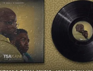 Tk Small, Senzo02 & Royal MusiQ​ ft. Pcee – Uyangfuna Yini (Prukukukuku) Mposa.Co.Za