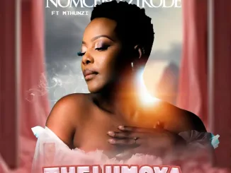 Nomcebo Zikode - Thelumoya ft. Mthunzi Mposa.Co.Za