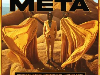 Nomcebo Zikode – META (Edit) ft. Sofiya Nzau (feat. Fireboy DML) & Fireboy DML Mposa.Co.Za
