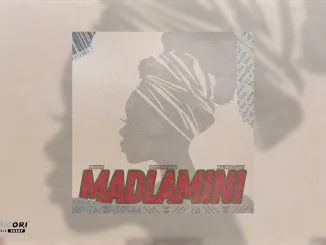 DoouShii - MaDlamini ft. Scotts Maphuma, Mellow & Sleazy Mposa.Co.Za